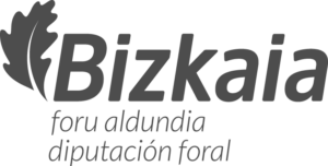 Sponsor Diputación Foral Bizkaia